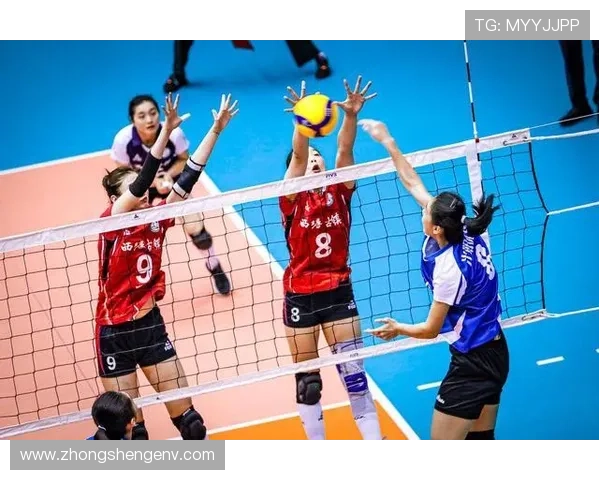 杭州排球队力量争议引发热议球迷与专家观点交锋激烈