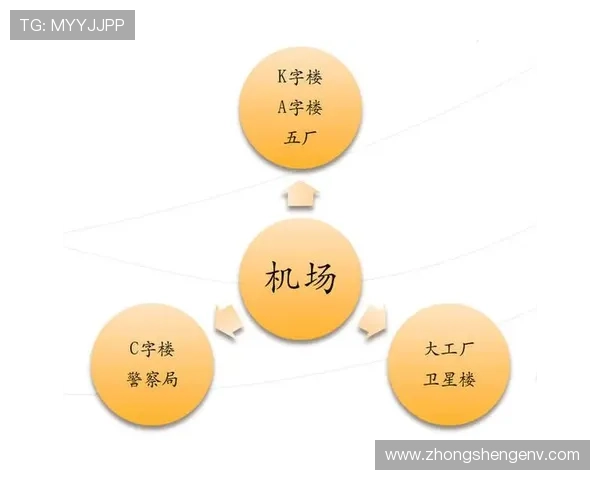 独家分析：杭州排球队的速度对比