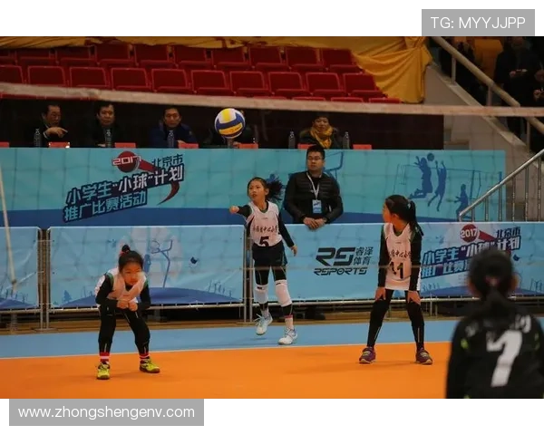 北京排球队的转型之路：从传统到现代的全面革新探索