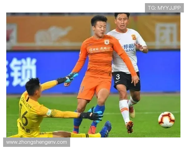 武汉乒乓球队实力引发热议球迷与专家的观点碰撞与争论